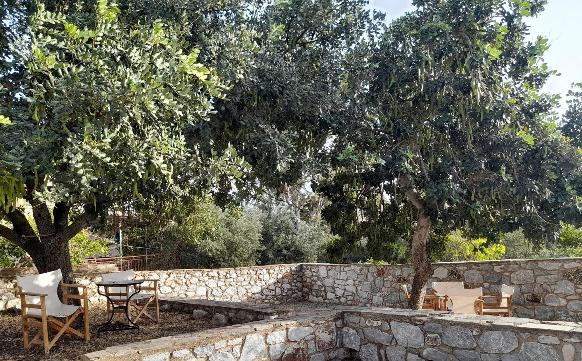 The Two Carob Trees, Traditional Stonehouse, Nikandri, Pirgos Diros Lefkias Exterior foto